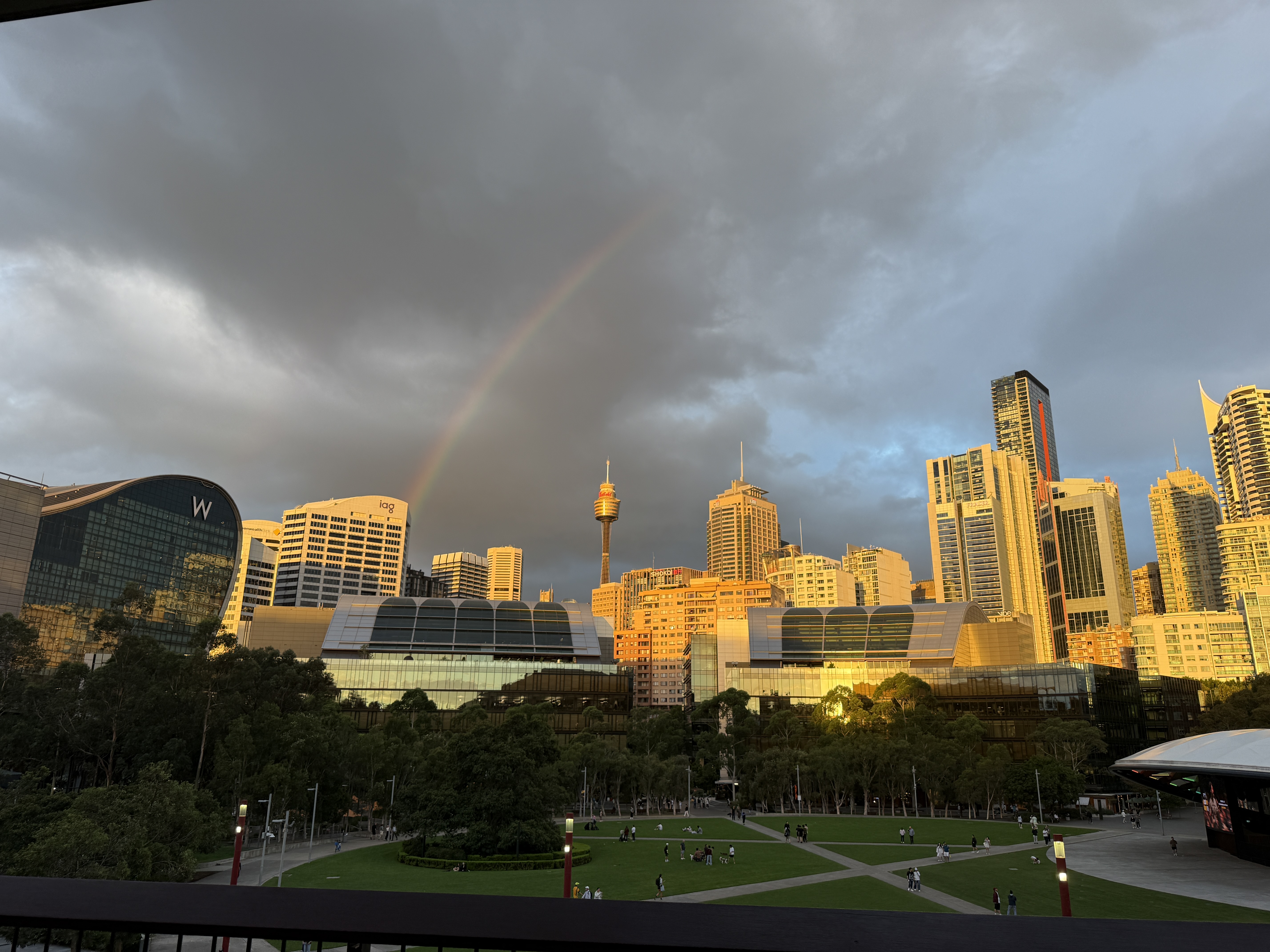 W-Hotel-Tumbalong-Park-Sydney.JPG