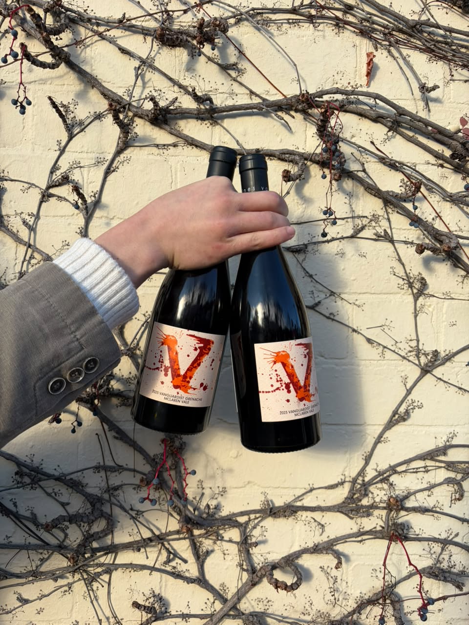 two-bottles-Vanguardist-V-Grenache-2024.jpeg
